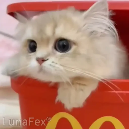 Luna - LunaFex™ My Simulated Robot Cat - Image 8